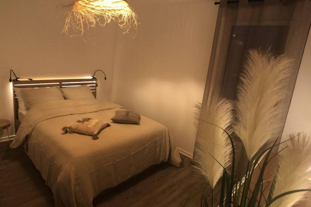 Appartement, Confort, Parking, Terrasse Dinan Extérieur photo